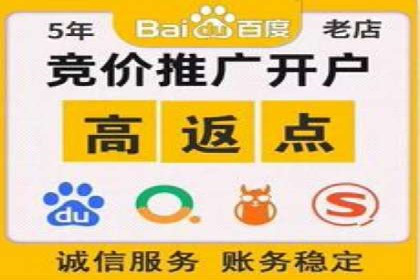 百度品牌专区推广的成效与案例